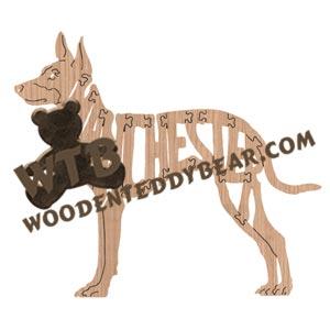 Manchester (Terrier - Clipped Ears)